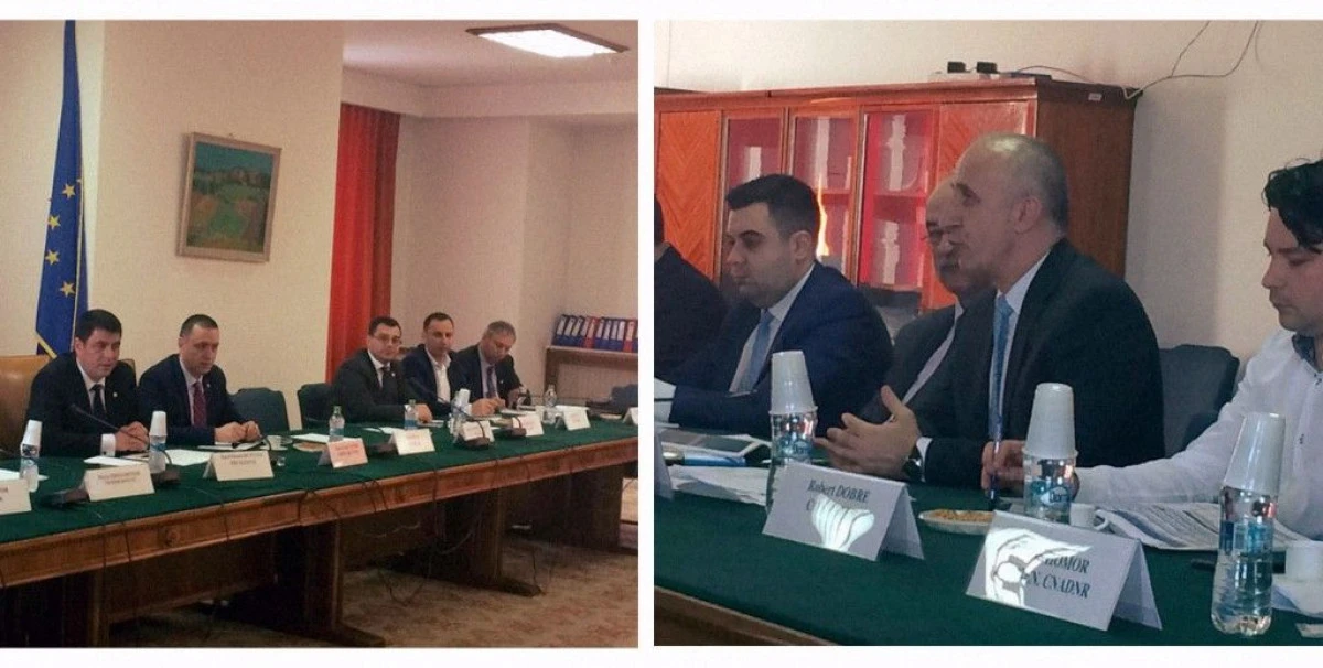 SENATORUL FIFOR: MINISTRUL TRANSPORTURILOR DORESTE FINALIZAREA CAT MAI RAPIDA A PASAJELOR