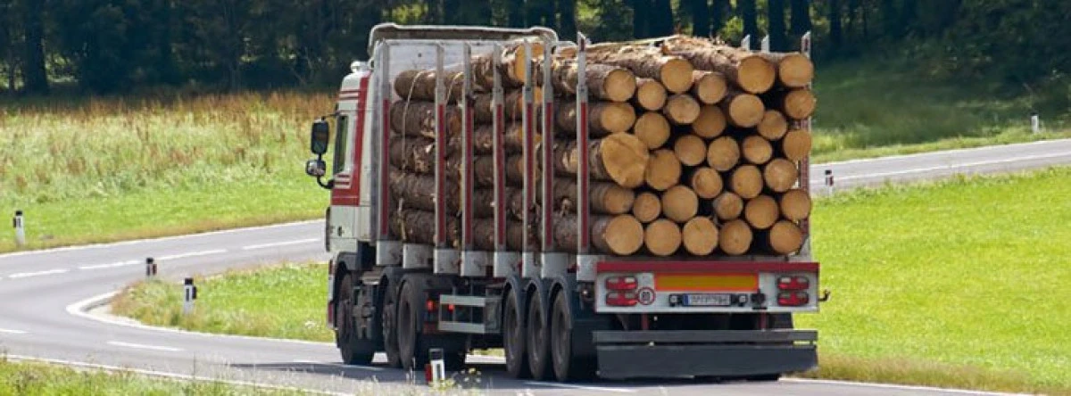 Și tu poți să fii ”Inspectorul Pădurii”! Recomandările IPJ Arad