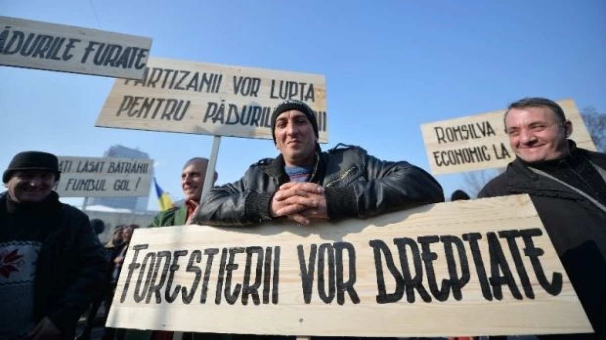 SINDICALIȘTII FORESTIERI CER DEMISIA MINISTRULUI MEDIULUI