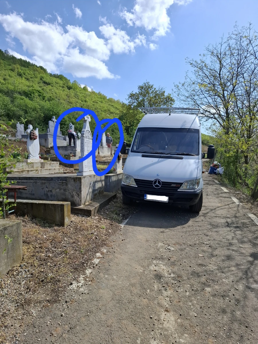 Șiria: Bizonul din cimitirul de la biserică!