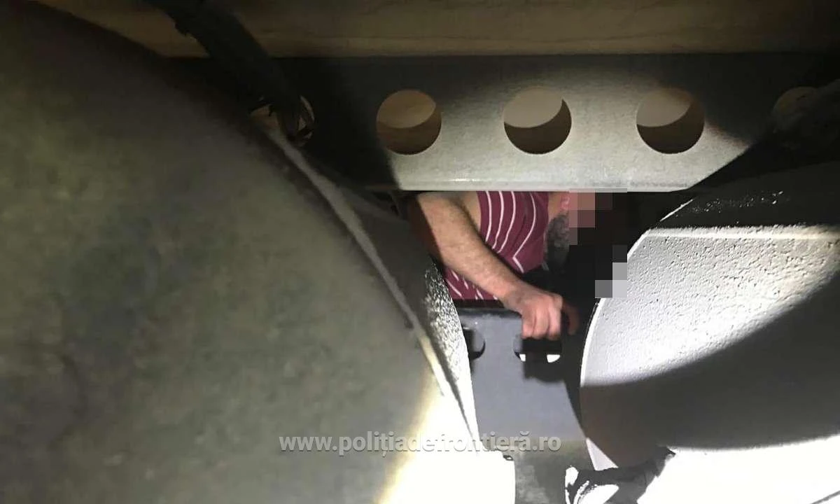 Sirian ascuns sub remorca unui automarfar, descoperit în vama Nădlac