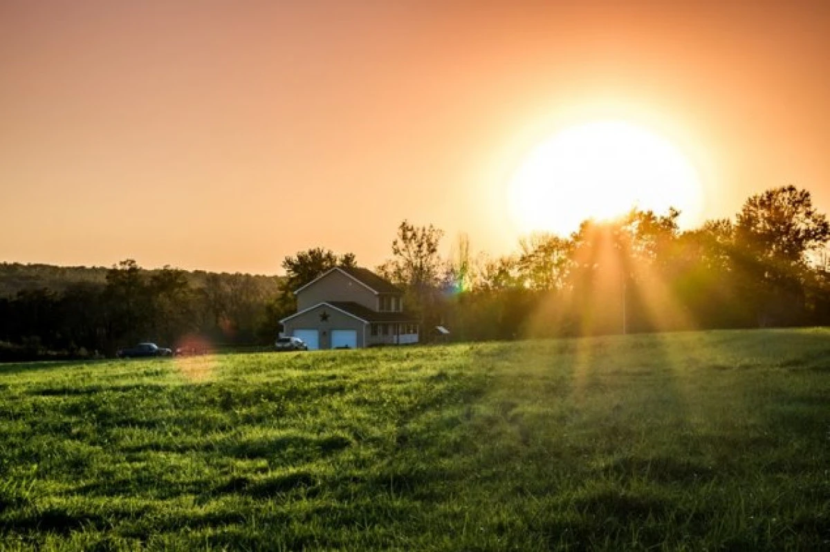 Soarele, vitamina D și sistemul imunitar