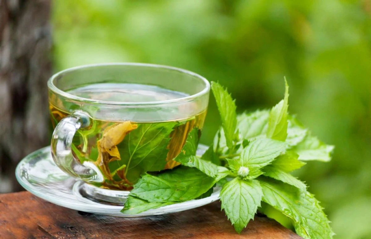 SOLUŢII NATURALE PENTRU TRATAREA VIROZELOR DE SEZON