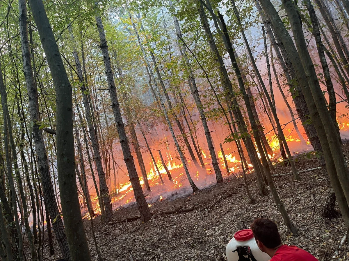 Spania este în flăcări! Temperaturile ridicate aduc cu ele incendii de vegetație