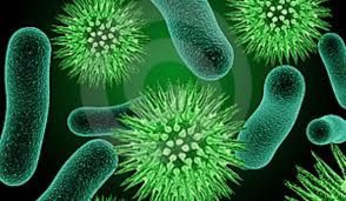 SPECIALISTII ROMANI AU DESCOPERIT SPECII DE BACTERII CU PROPRIETATI DEPOLUANTE