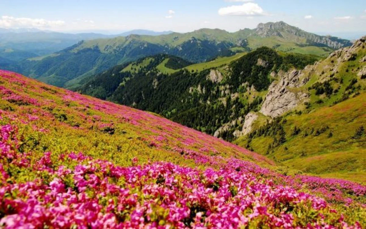 SPECTACOLUL NATURII DE LA MUNTELE ROȘU