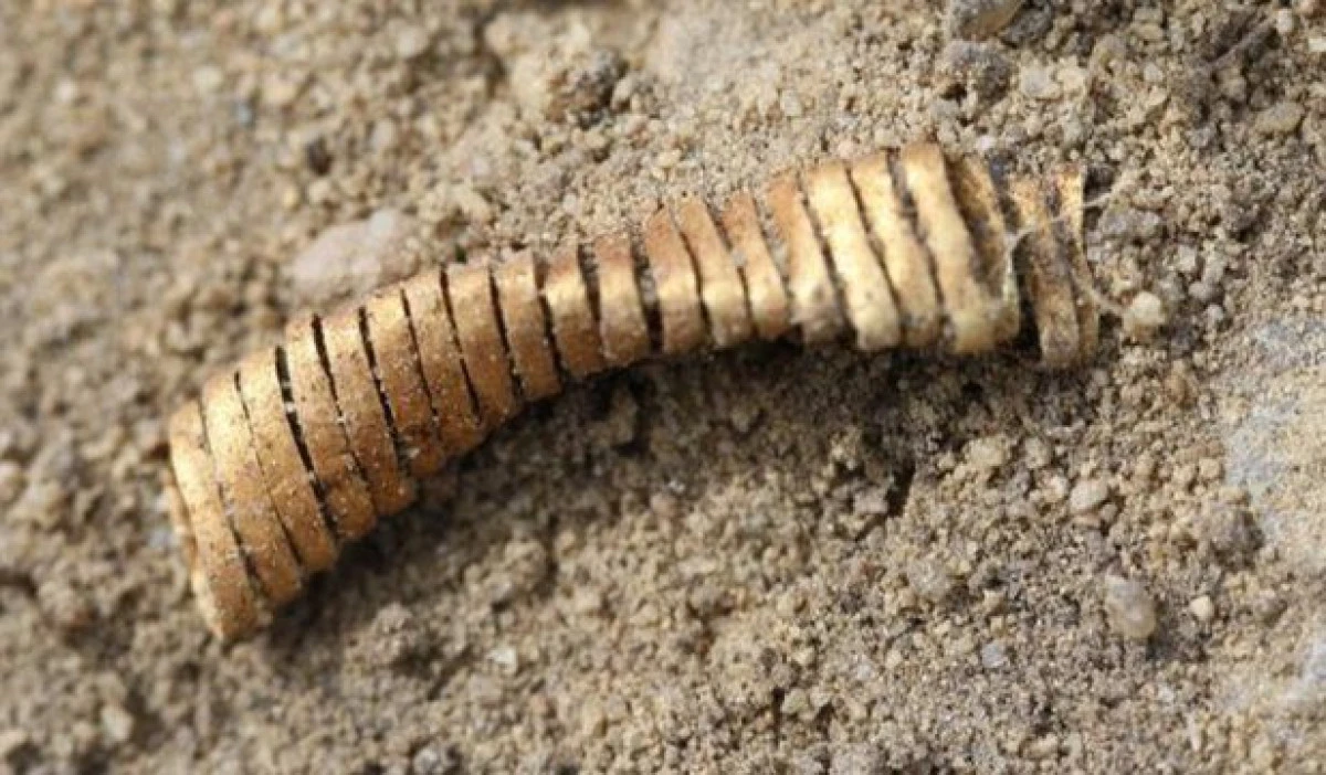 SPIRALE STRANII DIN AUR DATAND DIN EPOCA DE BRONZ AU FOST DESCOPERITE LA UN SIT ARHEOLOGIC DIN DANEMARCA