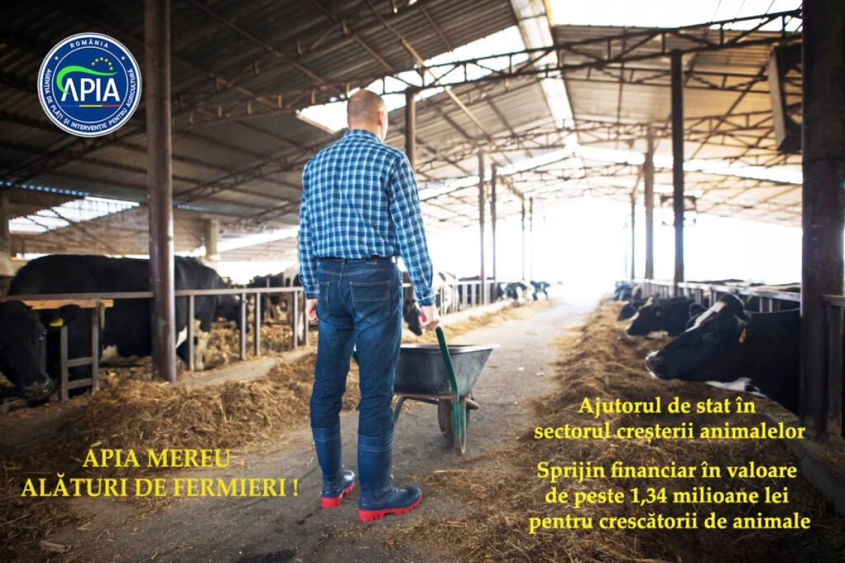 Sprijin financiar în valoare de peste 1,34 milioane lei pentru crescătorii de animale