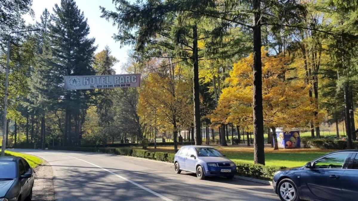 STATIUNEA MONEASA RAMANE PATRU ZILE FARA CURENT ELECTRIC, DIN CAUZA UNOR TAIERI DE ARBORI