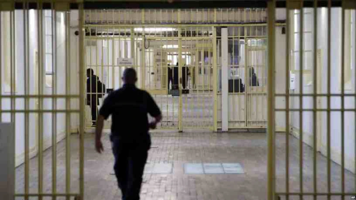 Studii pentru cei care vor să urmeze o carieră în Penitenciar
