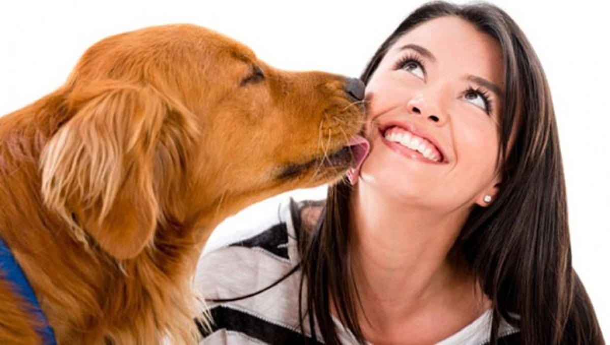 STUDIU: PERSONALITATEA ANIMALELOR POATE FI UN FACTOR CHEIE PENTRU SUPRAVIETUIREA LOR