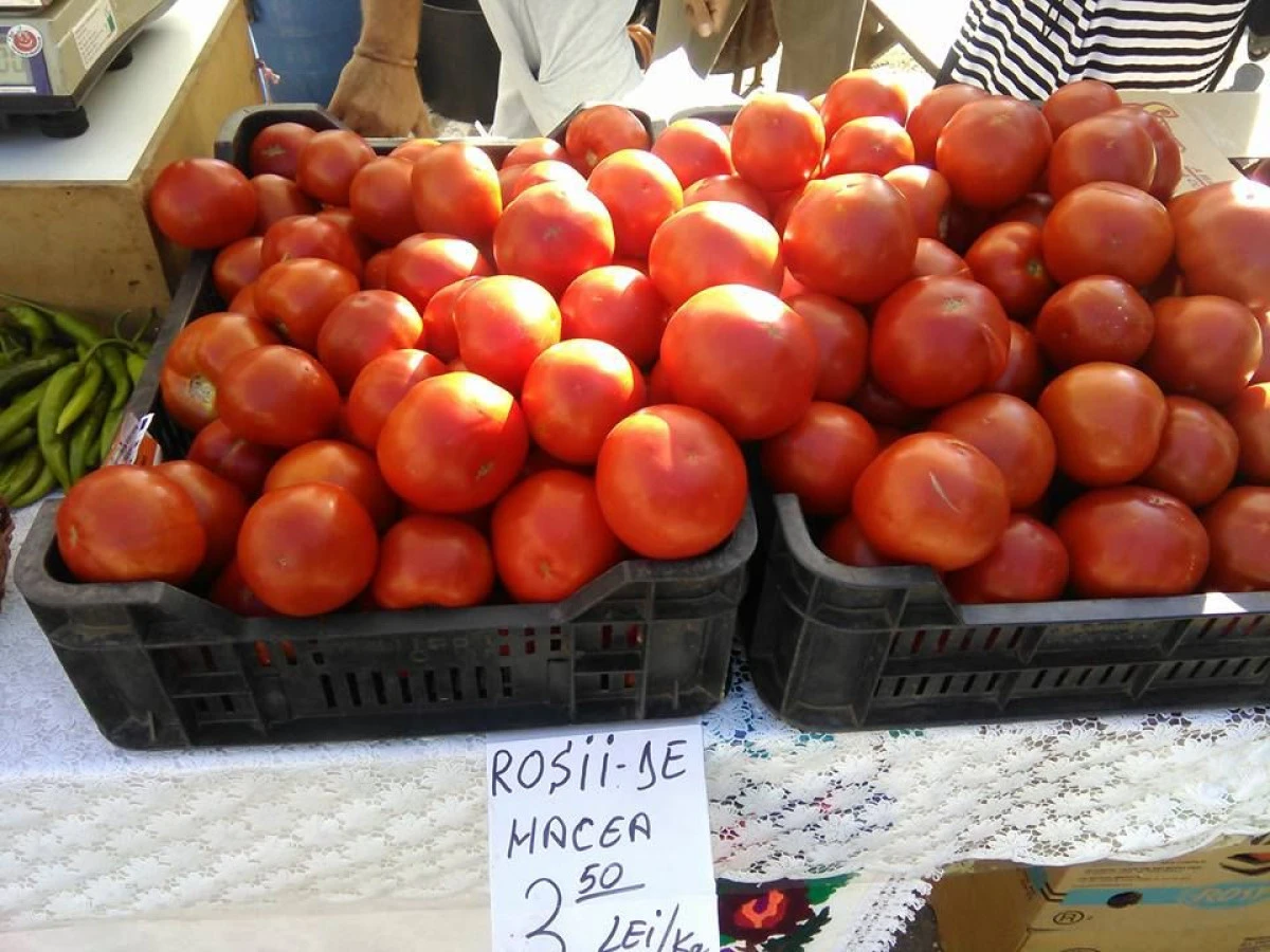 SUTE DE ARĂDENI AU PARTICIPAT LA FESTIVALUL PĂRĂDĂICILOR DE LA MACEA