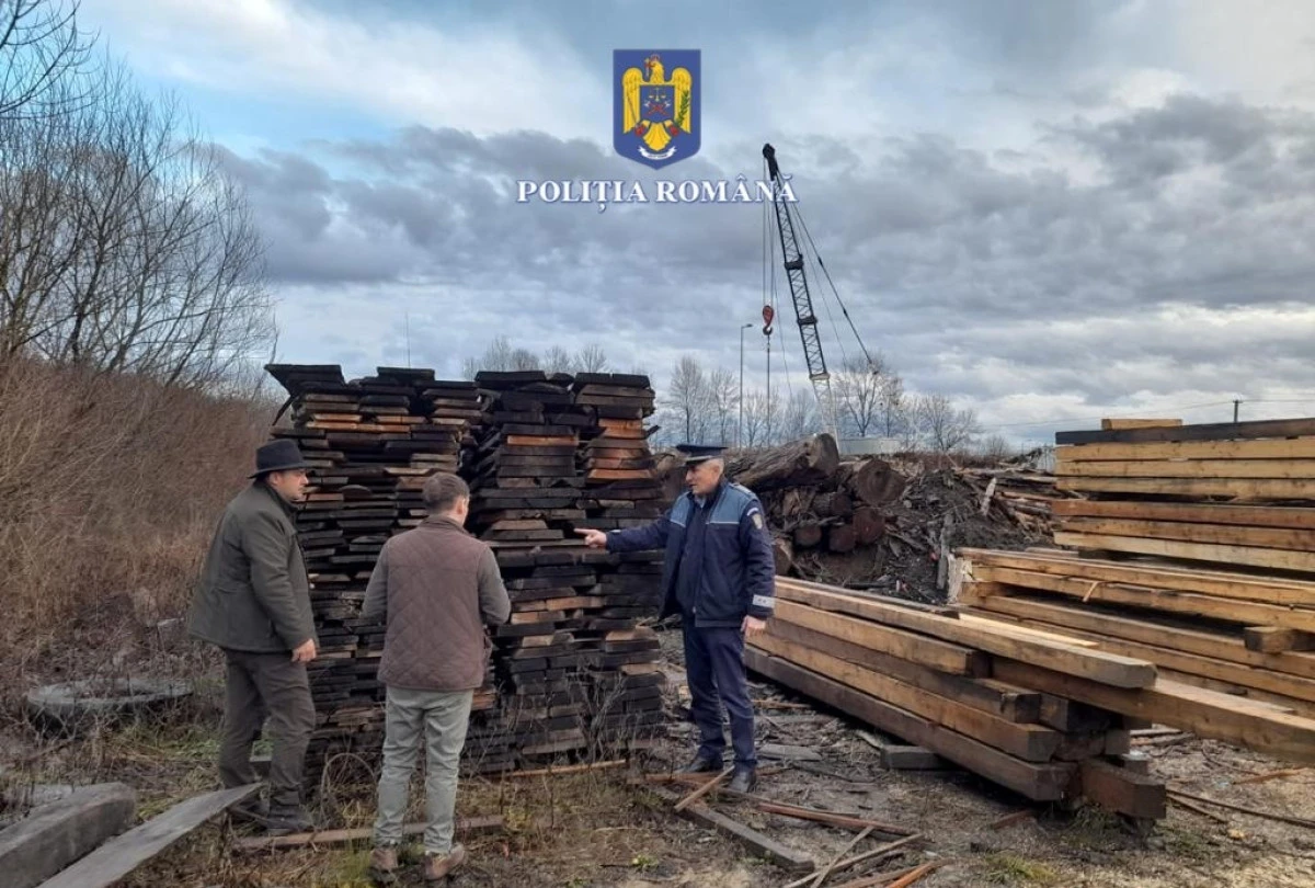 Sute de metri cubi de lemn au fost confiscați de la o firmă din Bârzava