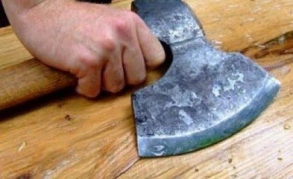 TALHARIE CU TOPORUL LA COVASANT