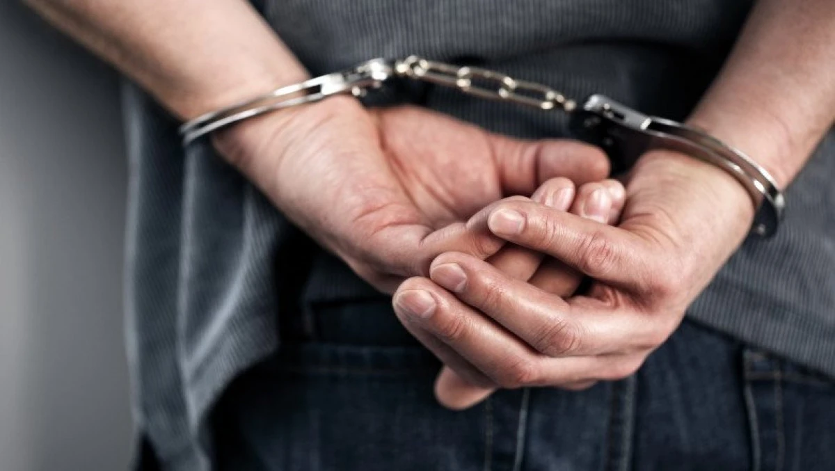 Tâlharul care a agresat un agent de pază a fost prins după cinci luni
