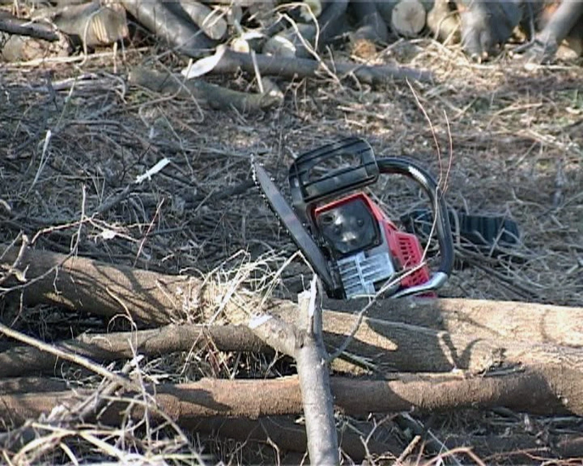 Tânăr de 19 ani din Caporal Alexa, prins după ce a furat o drujbă