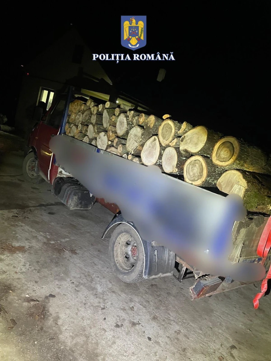 Tânăr din Bârzava, fără permis de conducere, depistat în trafic transportând  lemne fără proveniență legală