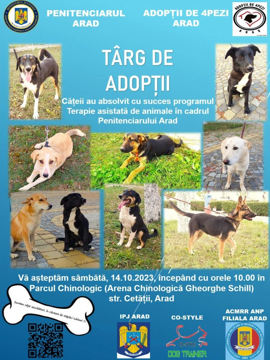 Târg de adopții de câini, la Arad