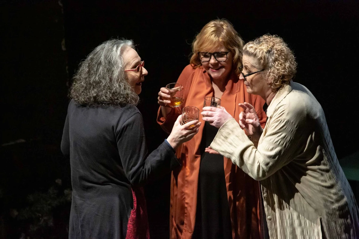 Teatrul, între scenă și oraș.   Propunerile lunii iunie la Teatrul Clasic „Ioan Slavici”
