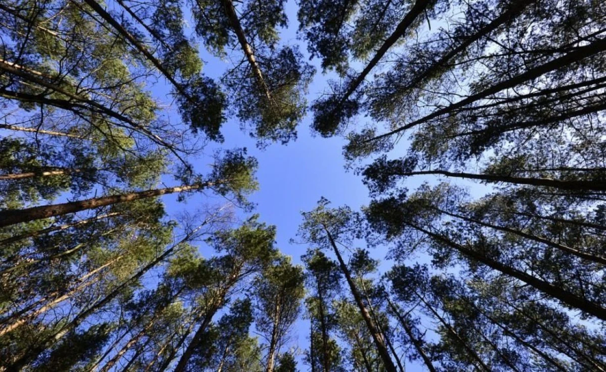 Temperaturi de 20 de grade în weekend. Prognoza pentru următoarele trei zile