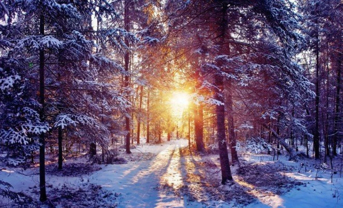 Temperaturi de primăvară în mijlocul iernii. Vezi prognoza meteo