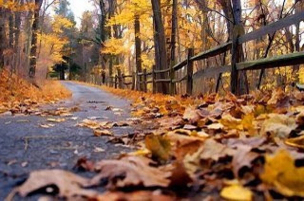 Temperaturi oscilante și precipitații temporare, la nivelul întregii țări, în perioada 13 - 26 octombrie