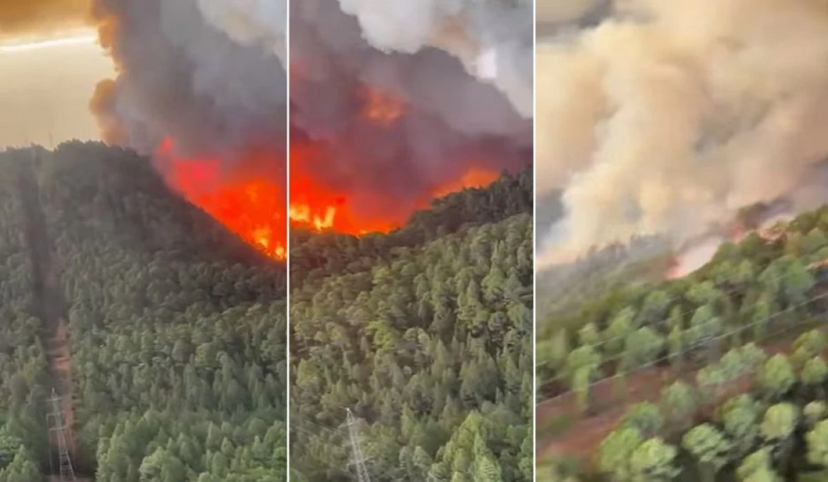 Tenerife în flăcări! Un imens incendiu de vegetație a cuprins pădurile insulei și amenință localitățile