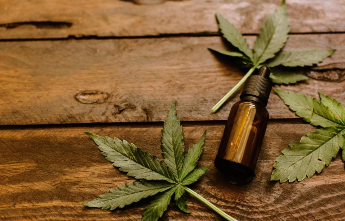 Thailanda, prima ţară asiatică ce legalizează canabisul în scop terapeutic