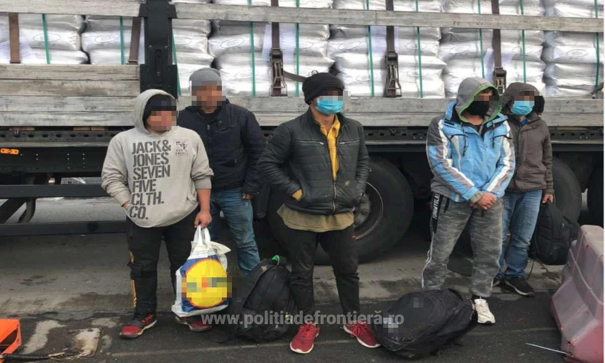 Tineri din Afganistan, depistați ascunşi printre saci cu orez şi seminţe de floarea soarelui