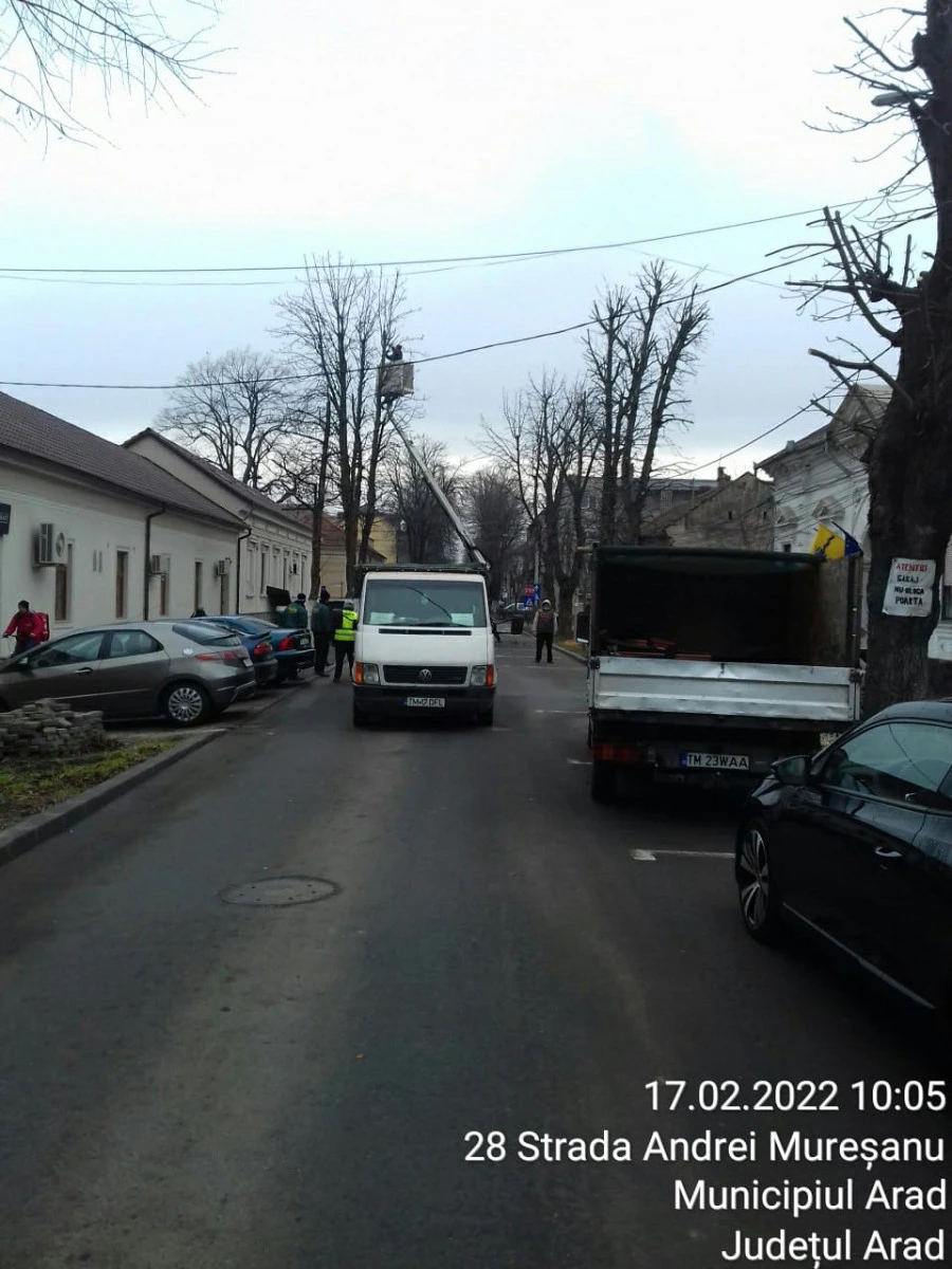 Toaletarea arborilor încurcă circulația