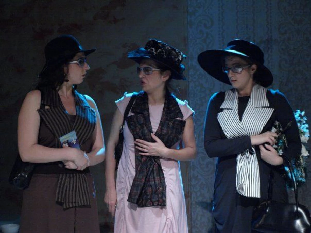 TOTUL DESPRE FEMEI, JOI SEARA, IN SALA STUDIO A TEATRULUI ARADEAN