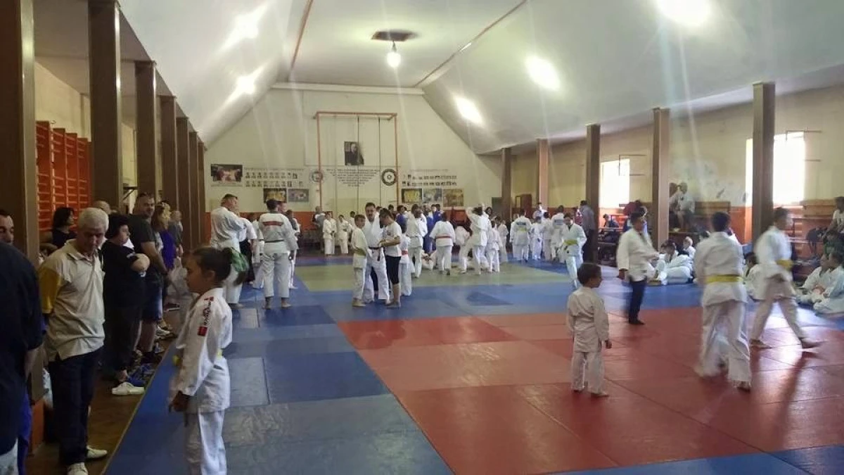TRADITIA PE TATAMI CONTINUA LA LIPOVA. OBIECTIVE PENTRU „SOIMI”