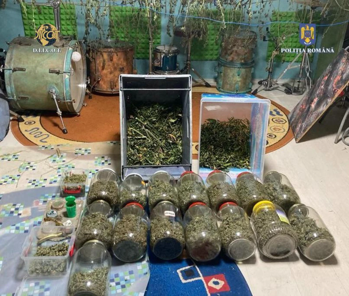 Traficant de droguri, săltat de polițiștii SCCO. La percheziții s-au găsit șase kilograme de canabis