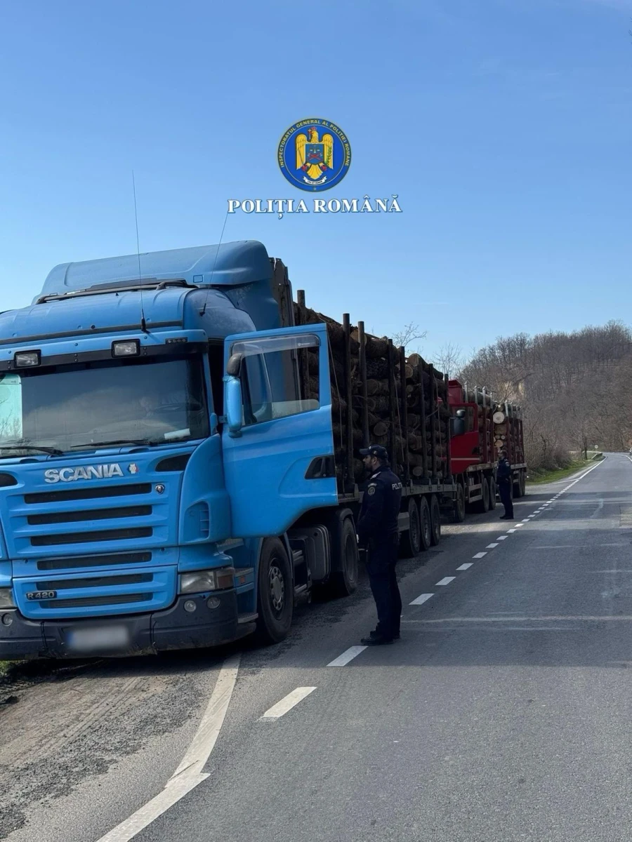 Transport ilegal de lemn depistat pe DN7. Amendă de 12.000 de lei și materialul confiscat
