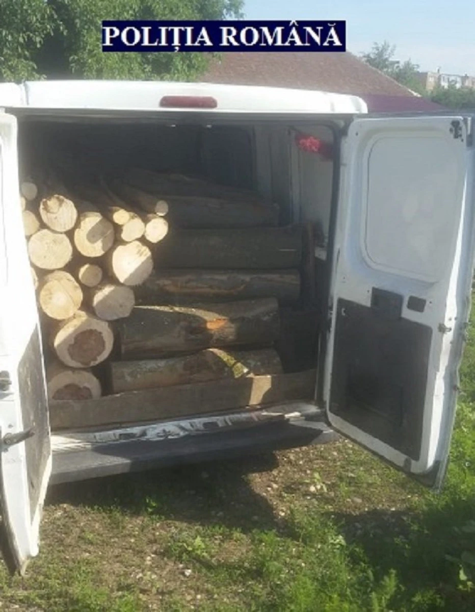 Transport ilegal de lemne, depistat de polițiștii din Lipova