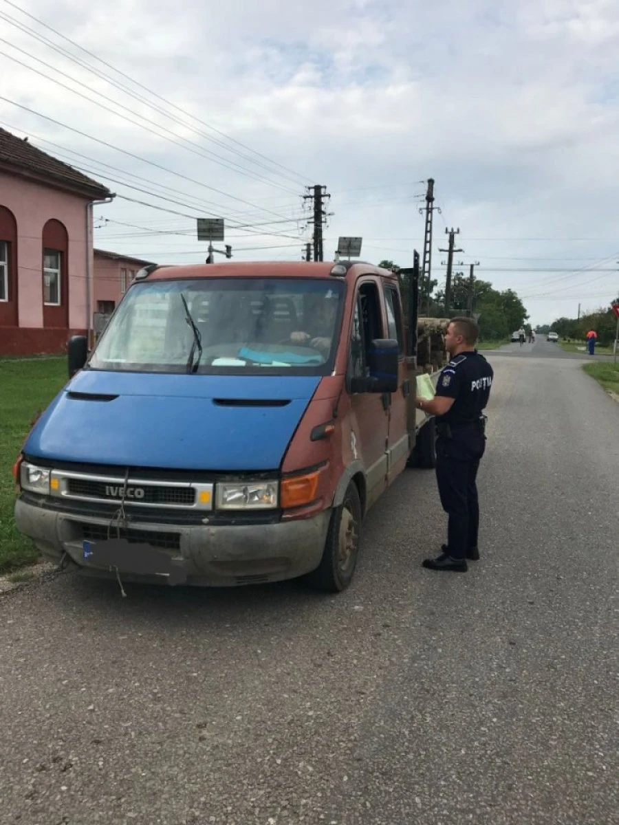 Transport ilegal de lemne, depistat la Frumușeni