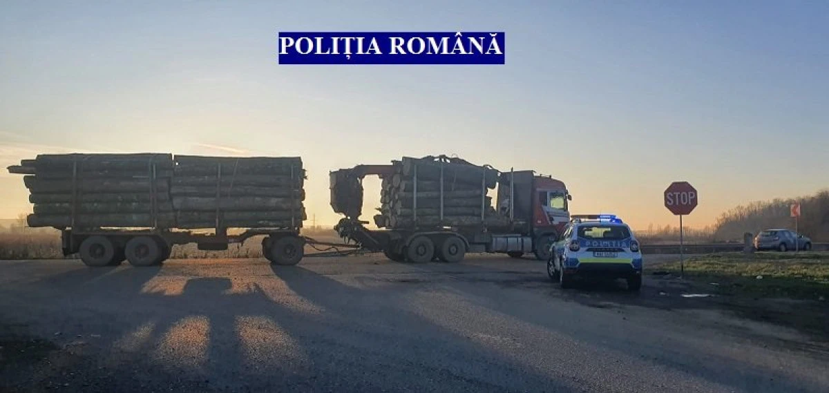 Transport ilegal de lemne, la Vărădia. Amendă de 12.000 de lei și lemnul confiscat