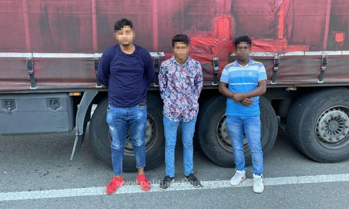 Trei cetăţeni din Bangladesh, depistaţi ascunși într-un automarfar la P.T.F. Nădlac II