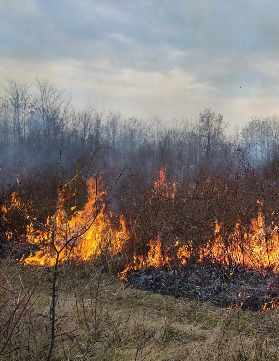 Trei incendii de vegetație și culturi agricole au izbucnit simultan în Arad. Pompierii au intervenit în mai multe zone ale municipiului