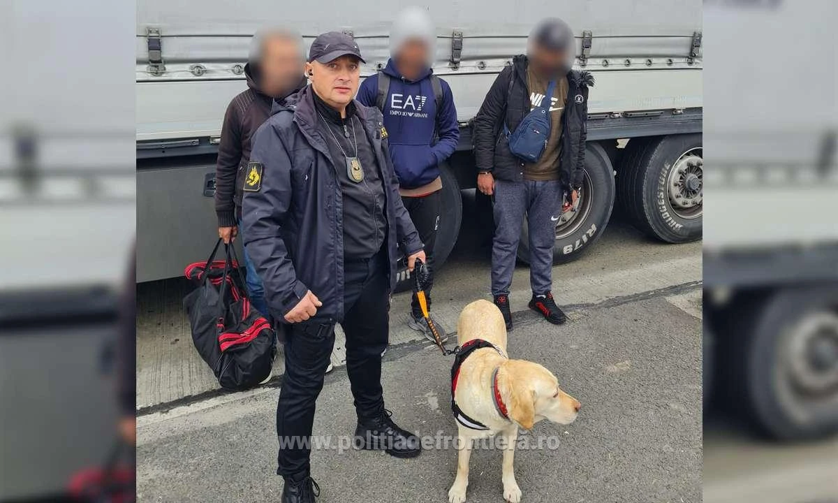 Trei migranți au încercat să treacă în Ungaria ascunși într-un TIR încărcat cu piese auto
