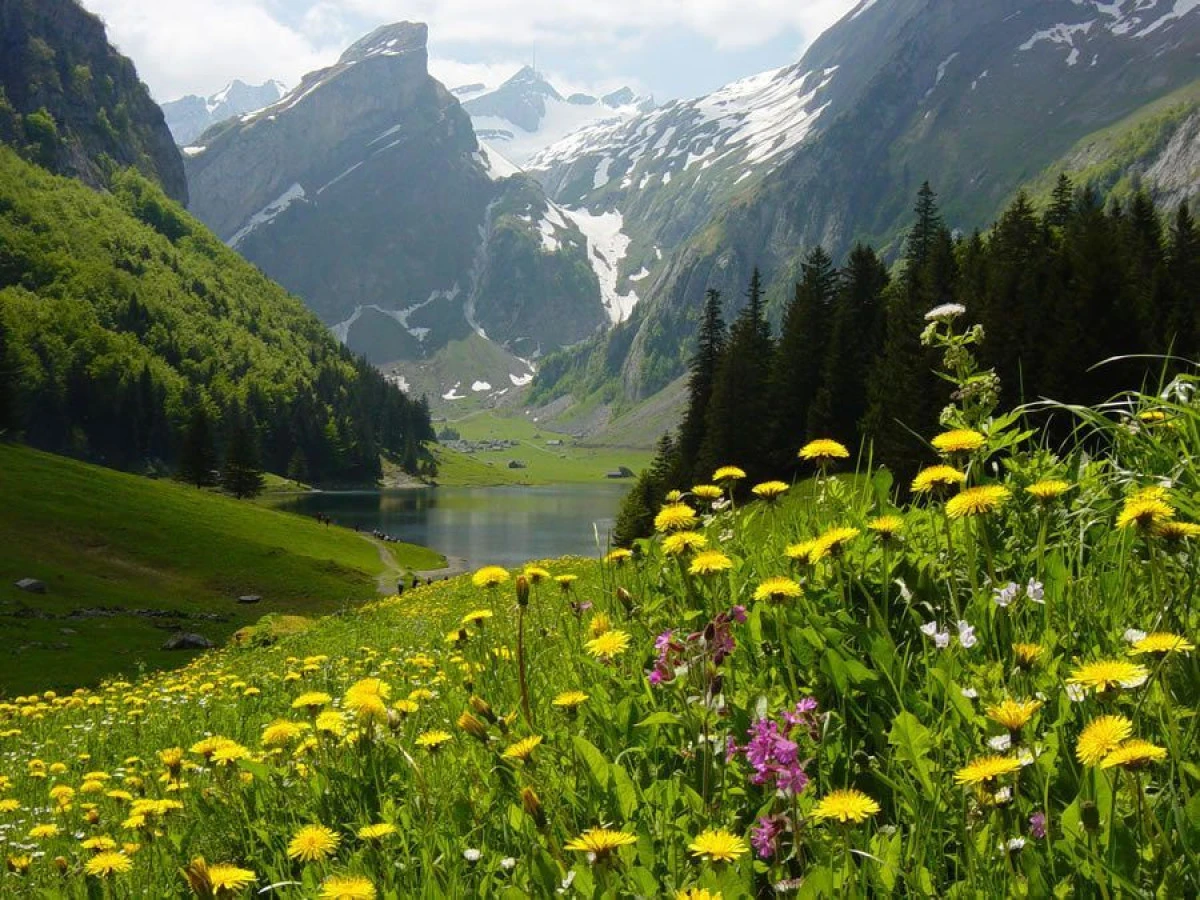 TU ȘTII CUM SĂ ARĂȚI NATURII CĂ O IUBEȘTI?