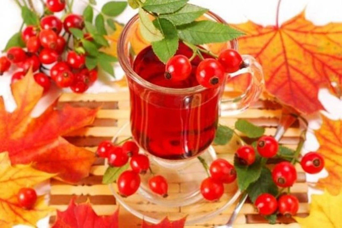 ULEIUL DE MACESE, CHEIA SPRE FRUMUSETE!