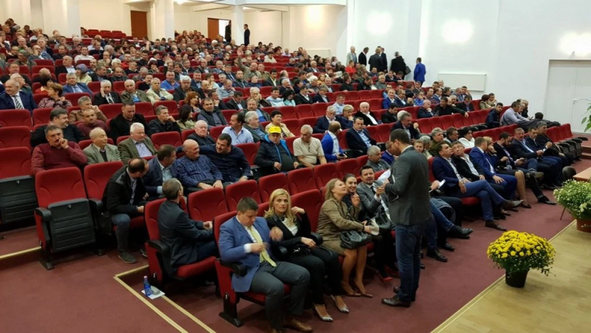Ultimele alegeri din PNL Arad arată prăbuşirea grupării Falcă-Cionca