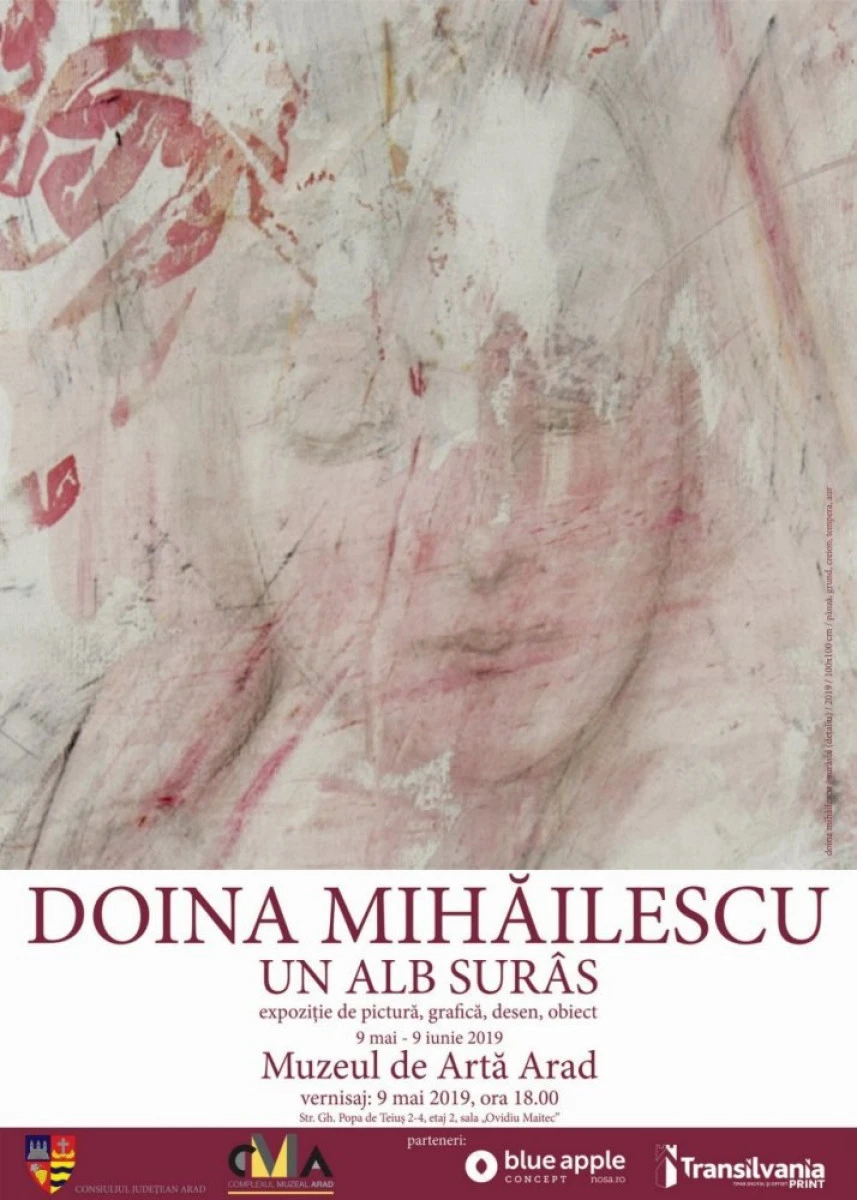Un alb surâs - Expoziție de pictură, grafică, desen, obiect, la Complexul Muzeal Arad