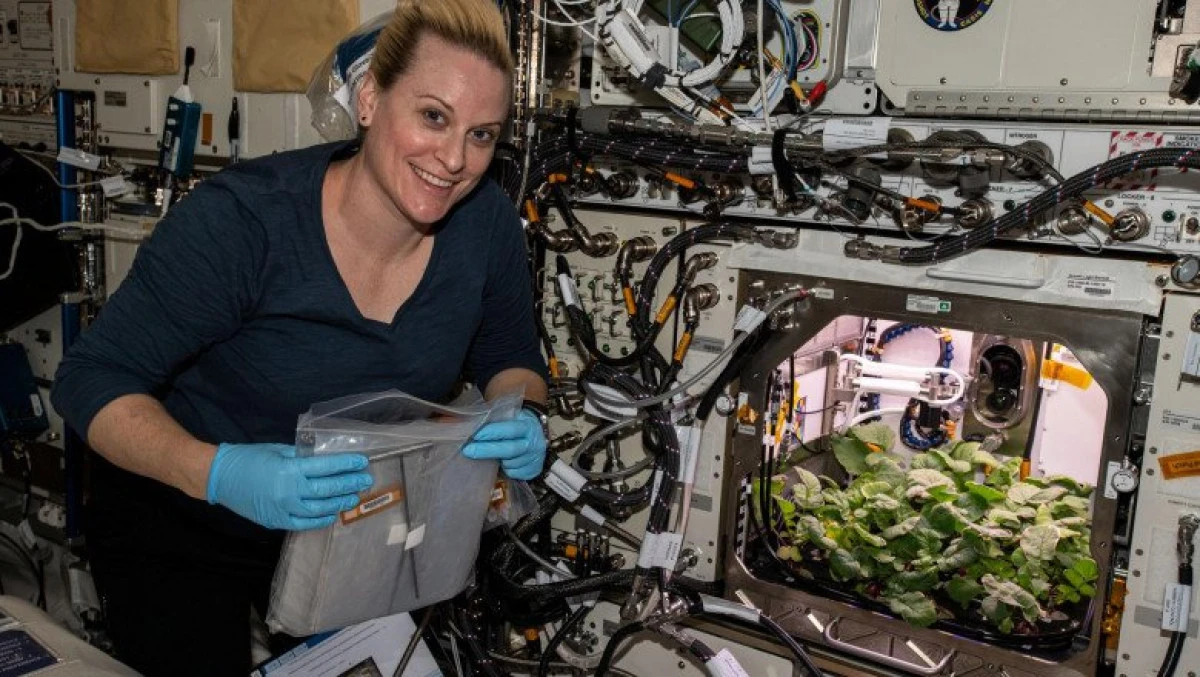 Un astronaut a cultivat prima recoltă de ridichi din Spațiu