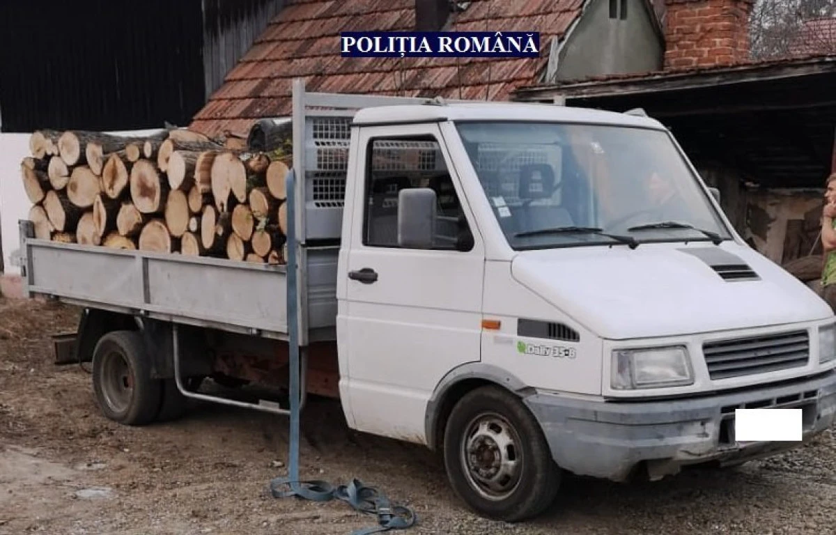Un bărbat a fost prins la Săvârșin și fără permis și cu lemne fără aviz