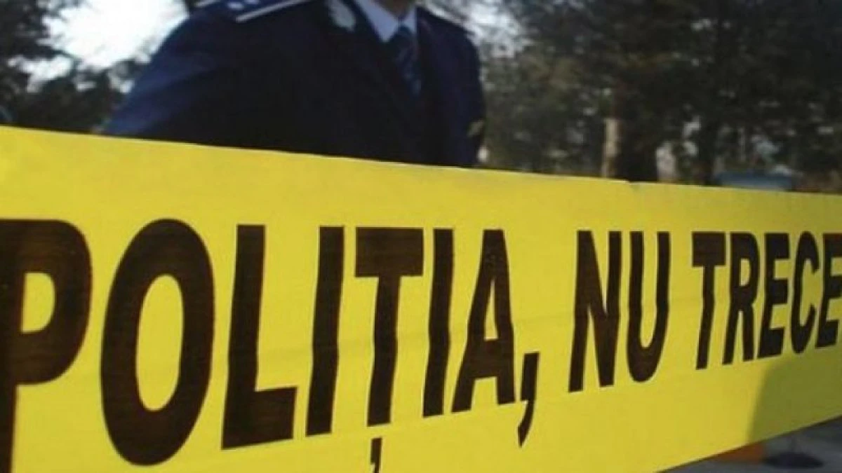 Un bărbat de 58 de ani din Micălaca și-a lovit soția până a omorât-o