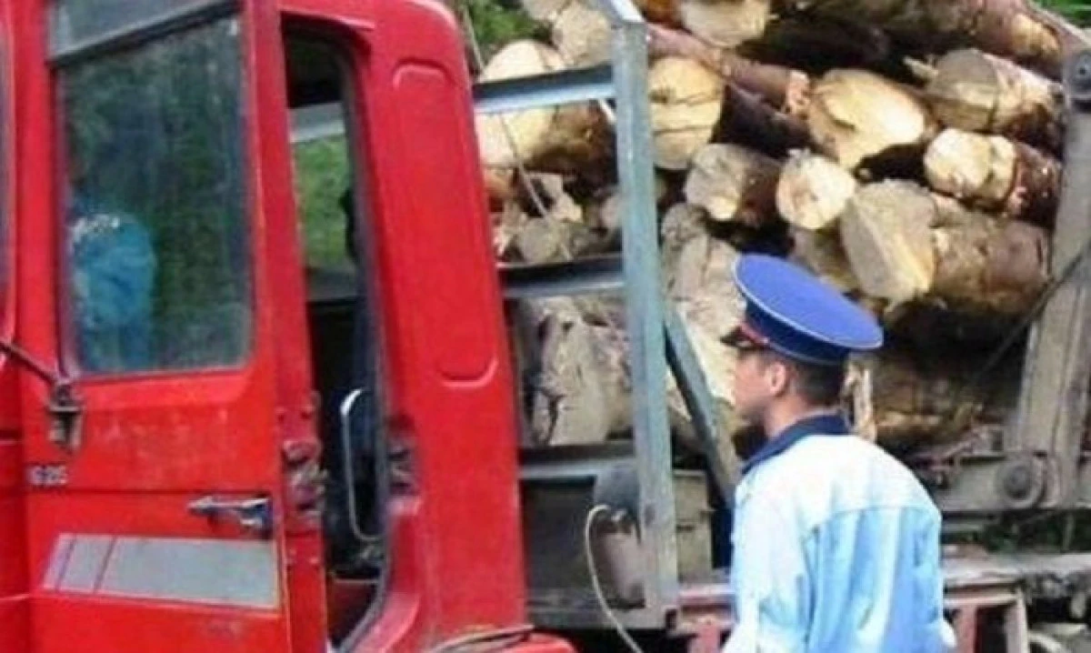 Un bărbat de 73 de ani din Păuliș, prins cu lemne pentru care nu avea aviz
