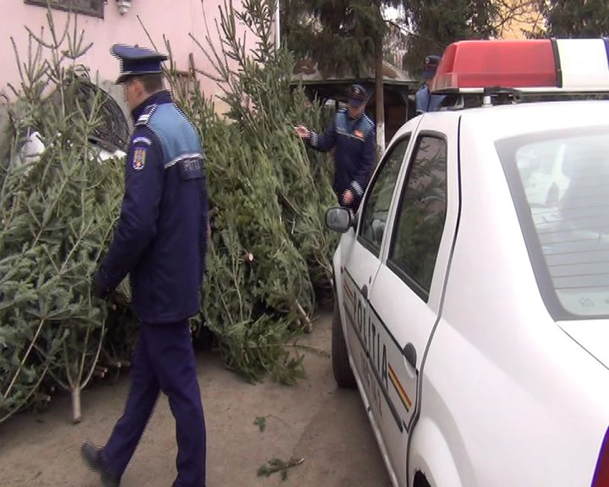 Un bărbat din Alba, prins la Curtici în timp ce comercializa ilegal brazi