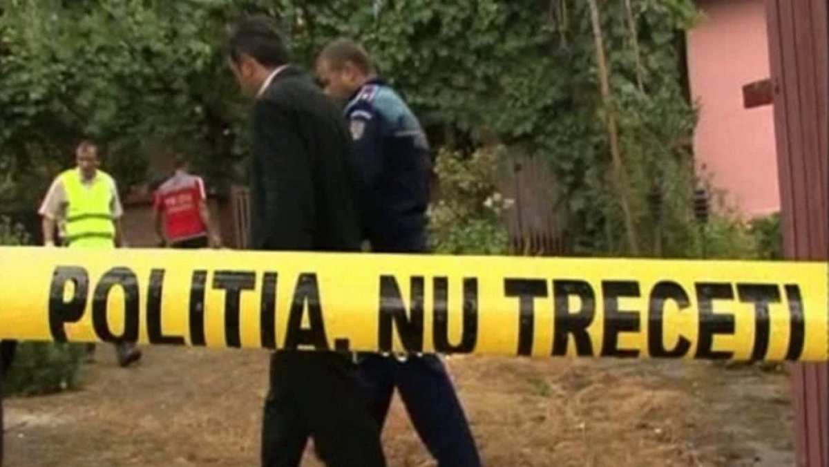 Un bărbat din Ineu a murit strivit de câteva panouri din lemn